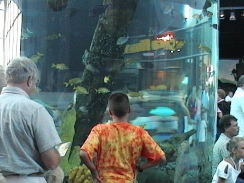 DVC00504.JPG