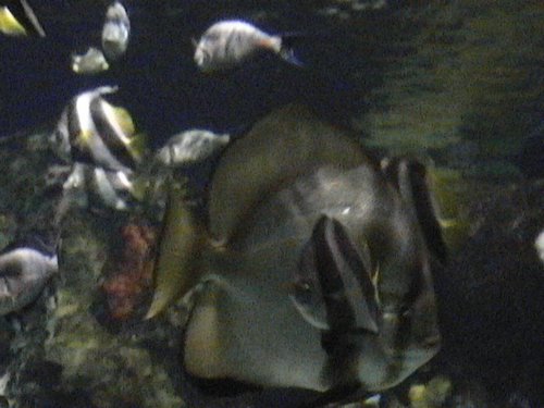 DVC00506.JPG