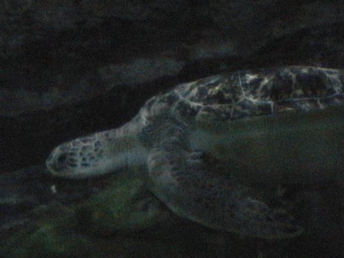 DVC00510.JPG