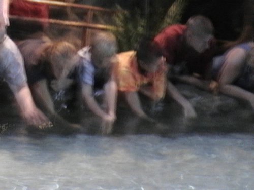 DVC00514.JPG