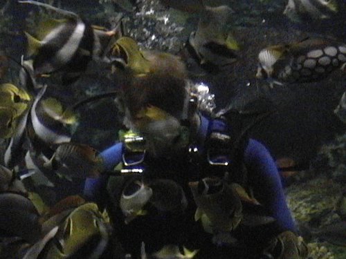 DVC00519.JPG