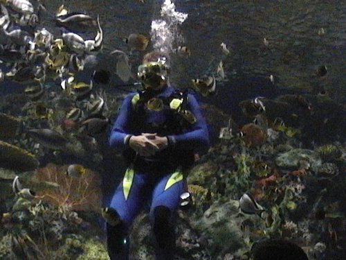 DVC00522.JPG