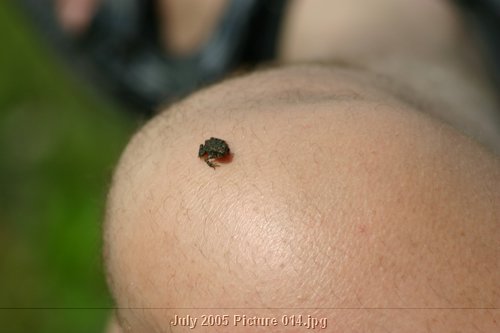 Picture 014.jpg