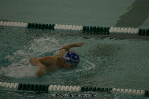 Picture 075.jpg
