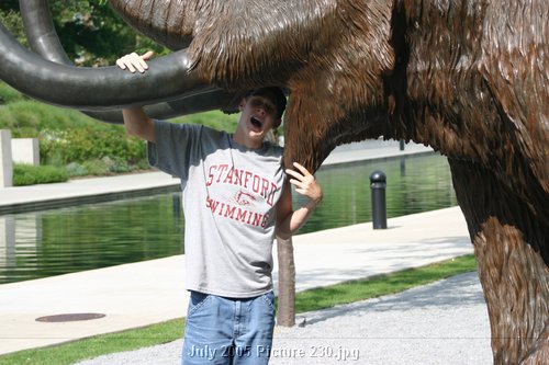 Picture 230.jpg