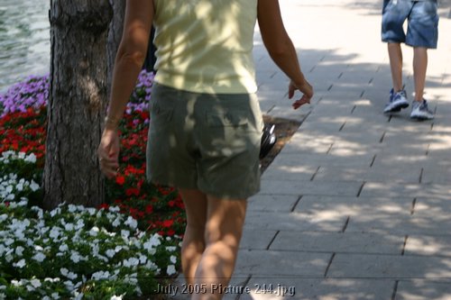 Picture 244.jpg