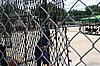 Picture 097.jpg