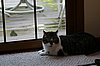 Picture 001.jpg