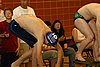 Picture 010.jpg