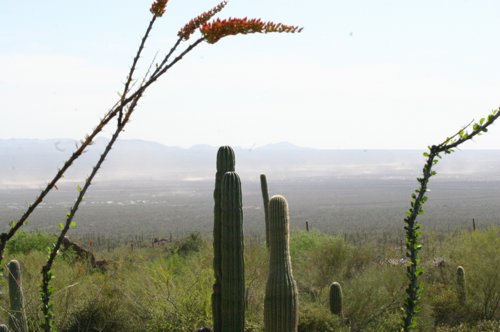 2007 Arizona 001.jpg
