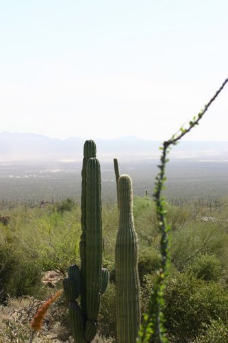 2007 Arizona 002.jpg