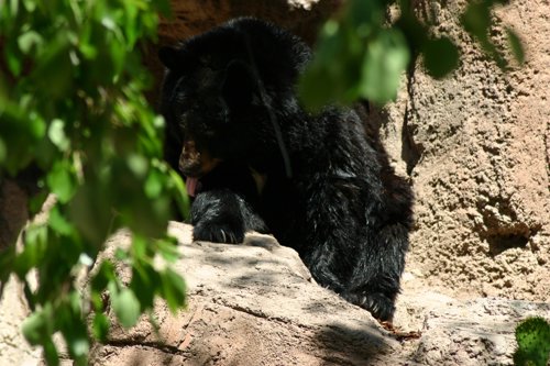 2007 Arizona 052.jpg