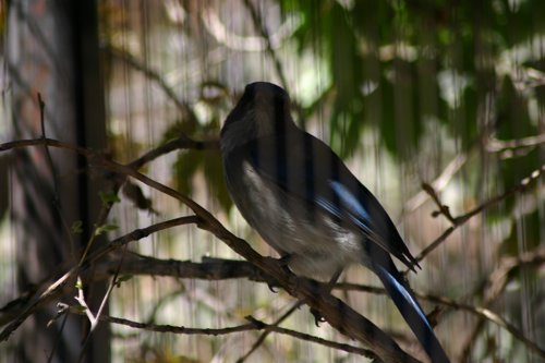 2007 Arizona 060.jpg