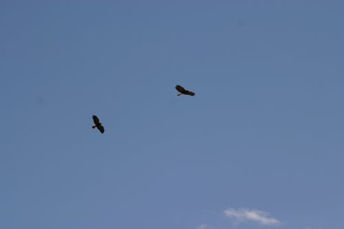 2007 Arizona 114.jpg