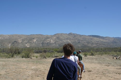 2007 Arizona 313.jpg