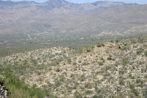 2007 Arizona 326.jpg