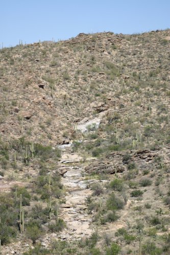 2007 Arizona 331.jpg