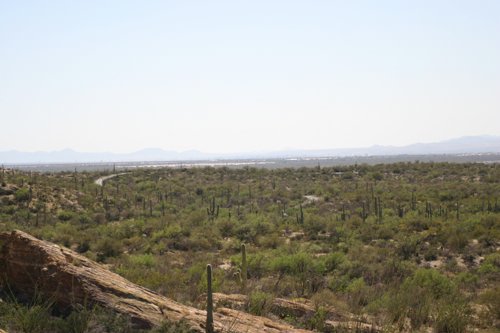 2007 Arizona 336.jpg