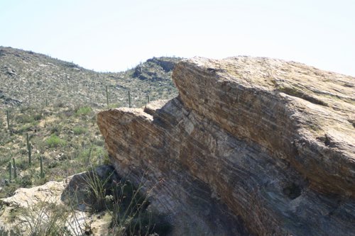 2007 Arizona 337.jpg