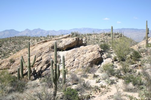 2007 Arizona 339.jpg