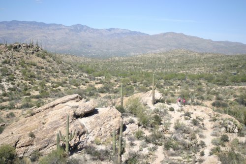 2007 Arizona 341.jpg