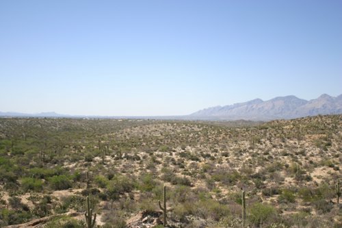 2007 Arizona 342.jpg