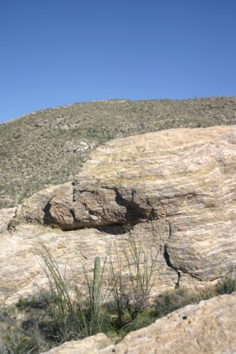 2007 Arizona 343.jpg