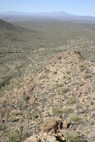 2007 Arizona 345.jpg