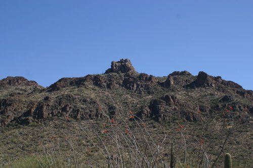 2007 Arizona 349.jpg