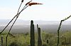 2007 Arizona 001.jpg
