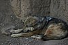 2007 Arizona 057.jpg