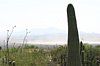 2007 Arizona 169.jpg