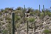 2007 Arizona 328.jpg