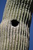 2007 Arizona 329.jpg