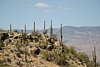 2007 Arizona 338.jpg