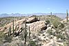 2007 Arizona 339.jpg