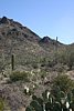 2007 Arizona 348.jpg