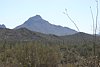 2007 Arizona 351.jpg