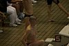 2007 HS State 010.jpg