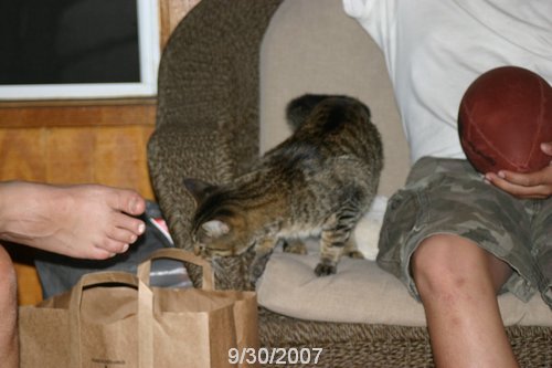 2007 October 017.jpg