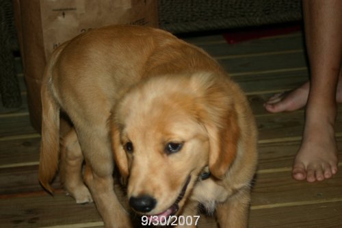 2007 October 027.jpg