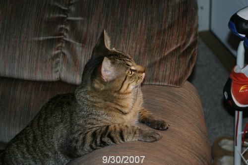 2007 October 032.jpg