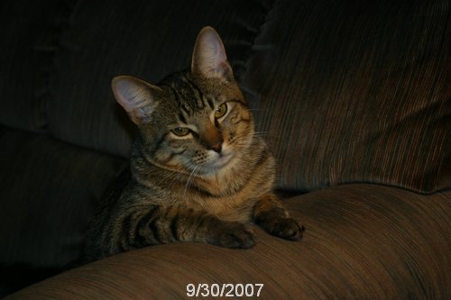 2007 October 033.jpg