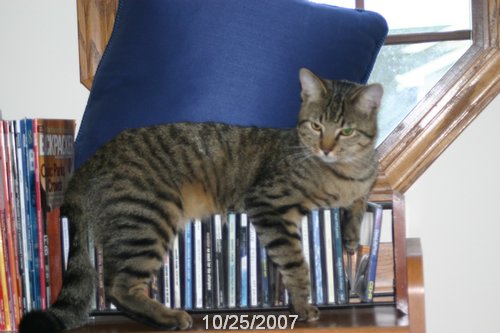 2007 October 038.jpg