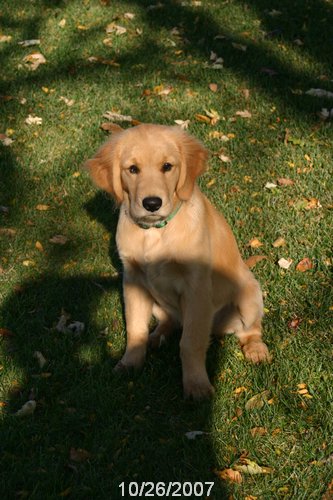 2007 October 039.jpg