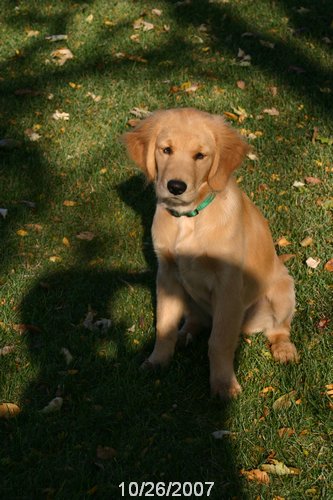 2007 October 040.jpg