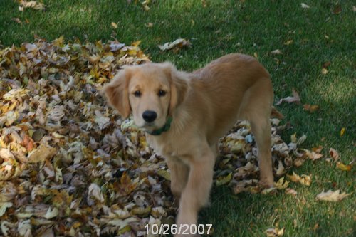 2007 October 041.jpg
