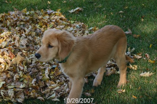2007 October 042.jpg