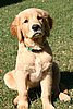 2007 October 007.jpg