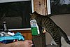 2007 October 013.jpg